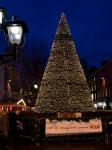 Christmas Tree In York